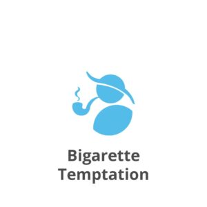 Bigarette Temptation סיגריות צמחיות
