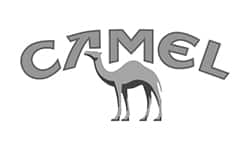 Camel מותג טבק לגלגול