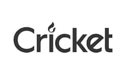 Cricket מותג אביזרי עישון