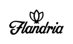 Flandria מותג טבק לגלגול
